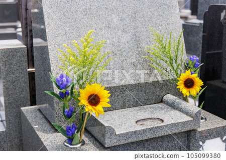 Beautiful Buddha flowers offered at the grave Beautiful Buddha flowers offered at the grave 105099380