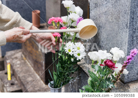 Beautiful Buddha flowers offered at the grave 105099388
