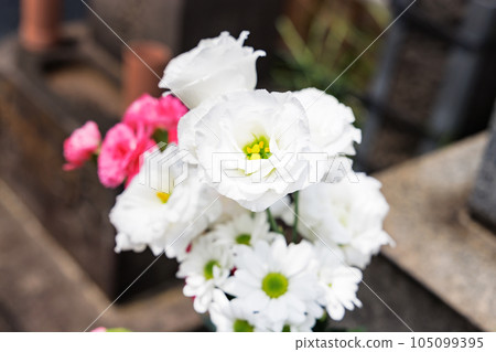 Beautiful Buddha flowers offered at the grave 105099395