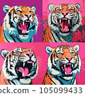 Heads of roaring menacing tigers on colored backgrounds. For your design 105099433