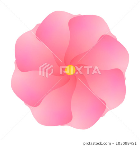 pink flower isolated on white background pink flower isolated on white background 105099451
