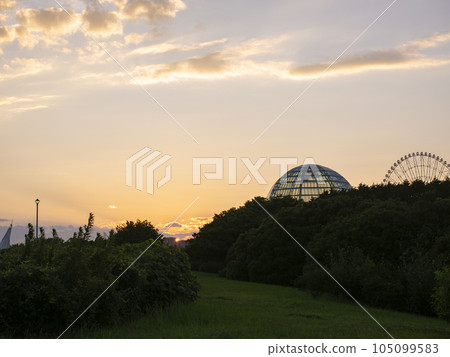 夏季傍晚風景葛西臨海公園水族館和摩天輪 夏季傍晚風景葛西臨海公園水族館和摩天輪 105099583