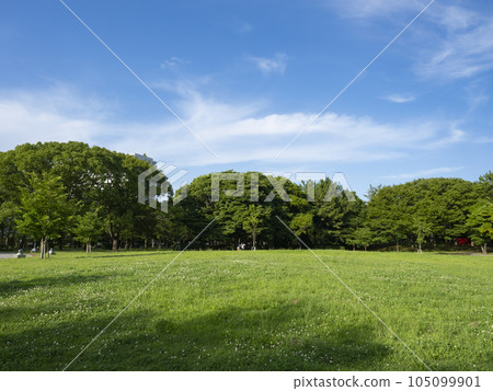 辰巳之森綠堂公園,綠意盎然,令人心曠神怡! 辰巳之森綠堂公園,綠意盎然,令人心曠神怡! 105099901