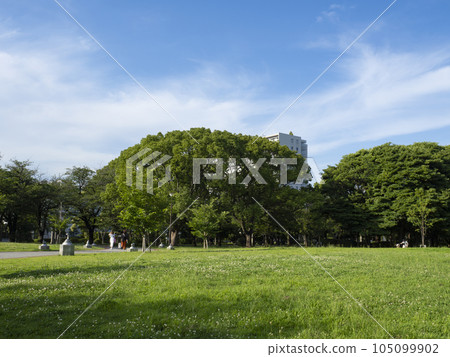 辰巳之森綠堂公園,綠意盎然,令人心曠神怡! 辰巳之森綠堂公園,綠意盎然,令人心曠神怡! 105099902