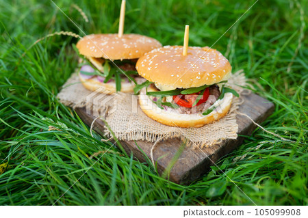 Delicious fresh burgers served on wooden boards, photo outdoors on green grass. Close-up. Delicious fresh burgers served on wooden boards, photo outdoors on green grass. Close-up. 105099908