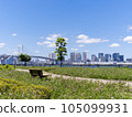 從有明北綠道公園到彩虹橋，陽光明媚，宜人 105099931