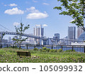 從有明北綠道公園到彩虹橋，陽光明媚，宜人 105099932