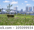 從有明北綠道公園到彩虹橋，陽光明媚，宜人 105099934