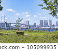 從有明北綠道公園到彩虹橋，陽光明媚，宜人 105099935