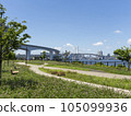 從有明北綠道公園到彩虹橋，陽光明媚，宜人 105099936