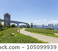 從有明北綠道公園到彩虹橋，陽光明媚，宜人 105099939