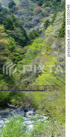 Journey Journey 105100346