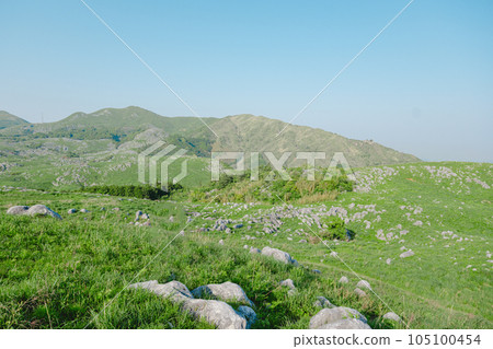 Hiraodai in early summer with a refreshing blue sky [Kitakyushu City, Fukuoka Prefecture] 105100454