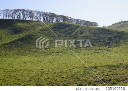 Rural scenery of the Kushiro Plain in autumn 105100530