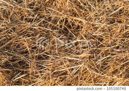 Farmland fields Farmland fields 105100748