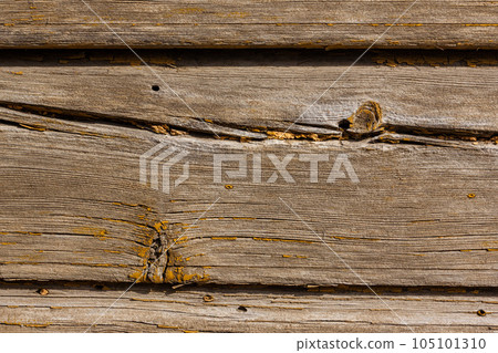 old wooden planks (for background) 105101310