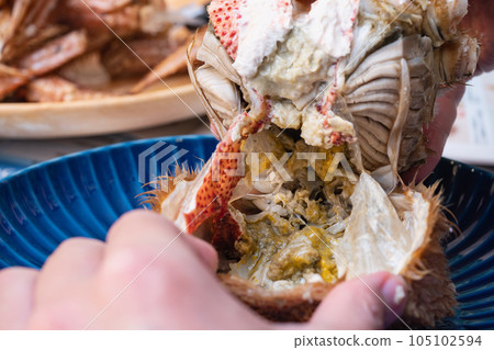 Hairy crab from Hokkaido. Luxurious and delicious crab miso. Hairy crab from Hokkaido. Luxurious and delicious crab miso. 105102594