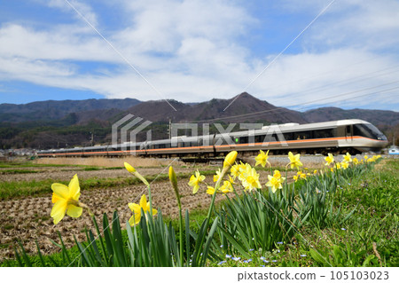 Limited Express Shinano on the Shinonoi Line in spring when daffodils are in bloom 105103023
