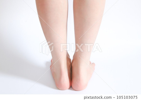 ankle and calf ankle and calf 105103075