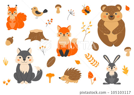 ector illustration with cute forest animals in cartoon style. Squirrel, fox, wolf, bear, hedgehog, butterfly, bird. Twigs, cones, acorn, leaves, grass. Autumn in the forest. 105103117