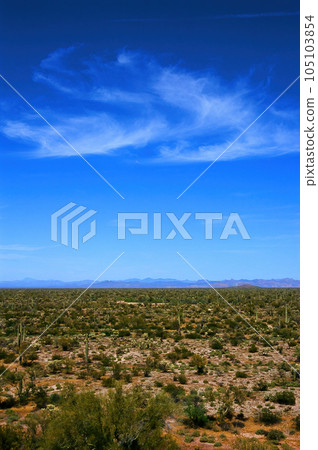 Film Image Sonora Desert Arizona 105103854