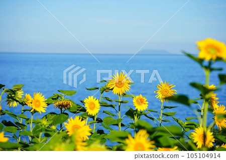 可以眺望美麗瀨戶內海的網紅景點下灘站 可以眺望美麗瀨戶內海的網紅景點下灘站 105104914