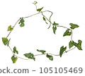 Decorative watercolor round ivy plant 105105469