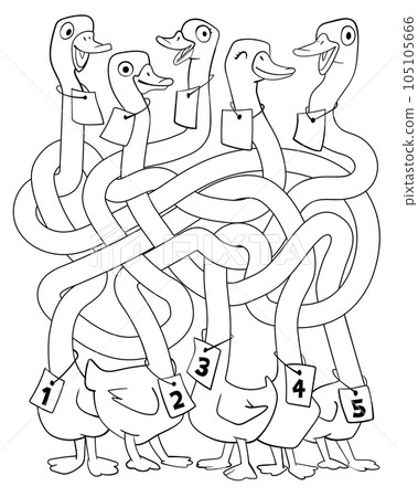 Children logic game to pass the maze. Funny geese with long, tangled necks Children logic game to pass the maze. Funny geese with long, tangled necks 105105666