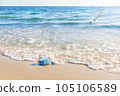 Blue jellyfish on the sandy beach of the Mediterranean sea, Tunisia 105106589
