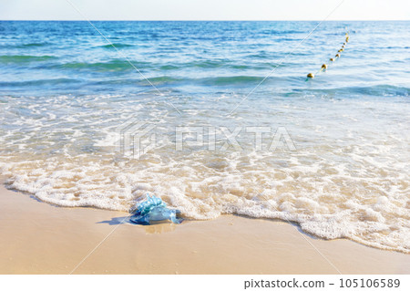 Blue jellyfish on the sandy beach of the Mediterranean sea, Tunisia 105106589