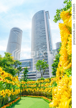 大名古屋大樓、市中心的向日葵花園<愛知縣名古屋市> 大名古屋大樓、市中心的向日葵花園<愛知縣名古屋市> 105106605