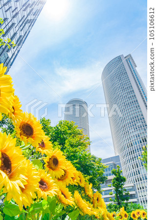 大名古屋大樓、市中心的向日葵花園<愛知縣名古屋市> 大名古屋大樓、市中心的向日葵花園<愛知縣名古屋市> 105106612