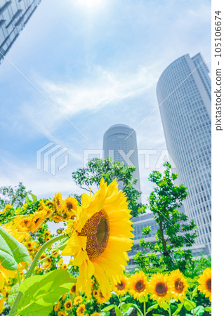 大名古屋大樓、市中心的向日葵花園<愛知縣名古屋市> 105106674