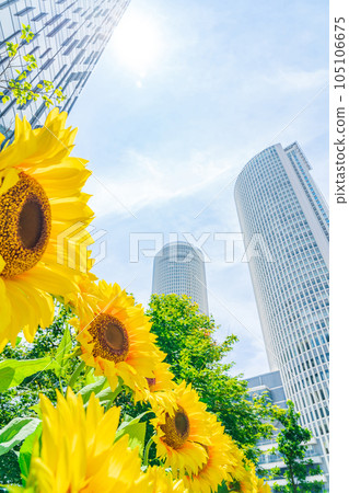 大名古屋大樓、市中心的向日葵花園<愛知縣名古屋市> 105106675