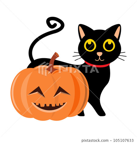 Black cat and halloween pumpkin . Cartoon character . Vector illustration . 105107633