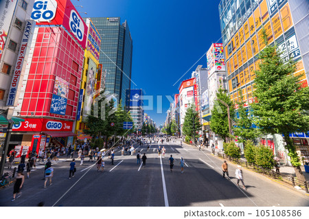 《東京》秋葉原電器街的行人天堂 105108586