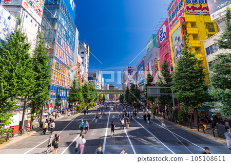 《東京》秋葉原電器街的行人天堂 105108611