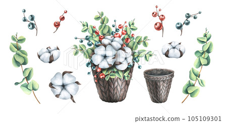 Christmas composition of eucalyptus, cotton and decorative berries in a brown knitted basket. Watercolor illustration, hand drawn. Set of isolated clip art elements on white background. Christmas composition of eucalyptus, cotton and decorative berries in a brown knitted basket. Watercolor illustration, hand drawn. Set of isolated clip art elements on white background. 105109301