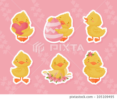 Cute Yellow Duckling Chick with Beak and Feathers Vector Sticker Set 105109495