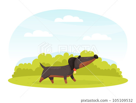 Cartoon Dachshund Dog Character Walk on Green Lawn Vector Illustration Cartoon Dachshund Dog Character Walk on Green Lawn Vector Illustration 105109532
