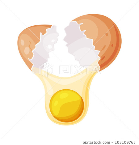 Raw Uncooked Egg with Cracked Brown Shell Vector Illustration 105109765