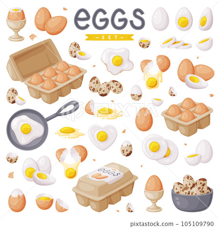 Fresh Raw Eggs and Cooked Boiled with Yellow Yolk Vector Set 105109790