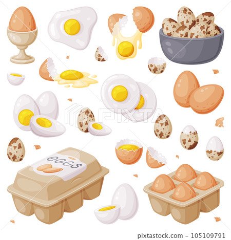 Fresh Raw Eggs and Cooked Boiled with Yellow Yolk Vector Set 105109791