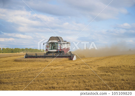 Cereal combine harvesters in the wheat field on sunny day 105109820