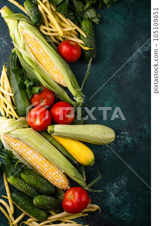 Assortment of various vegetables. Summer harvest. 105109851