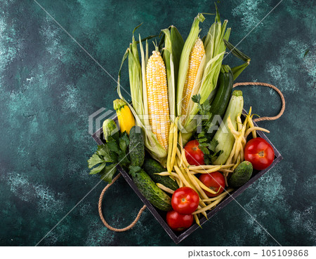 Assortment of various vegetables. Summer harvest. 105109868