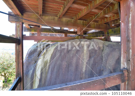 苗木美濃石垣誠和Kuruwa 105110046