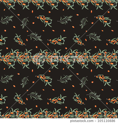 Watercolor seamless pattern of sea buckthorn branch isolated on black background. Botanical illustration of fresh ripe berry with leaves. Ornate for room decor, print, textile design. Watercolor seamless pattern of sea buckthorn branch isolated on black background. Botanical illustration of fresh ripe berry with leaves. Ornate for room decor, print, textile design. 105110886