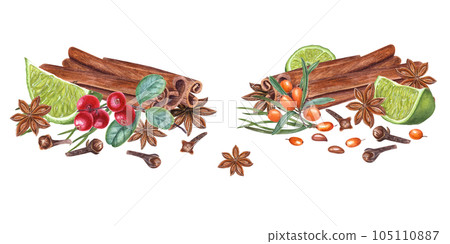 Cinnamon sticks, red huckleberry, sea buckthorn, lime slice, pine needles, cloves, star anise isolated on white background. Watercolor botanical illustration for the design of cards, package design Cinnamon sticks, red huckleberry, sea buckthorn, lime slice, pine needles, cloves, star anise isolated on white background. Watercolor botanical illustration for the design of cards, package design 105110887