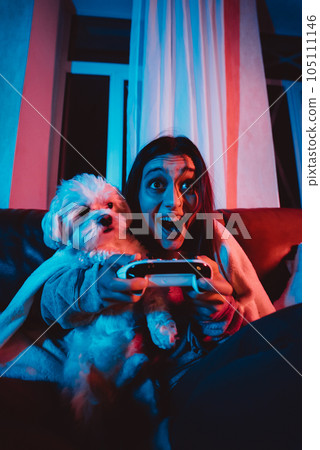 A gamer or a streamer girl at home in a dark room with a game controller playing with her dog and sits in front of a monitor or TV. 105111146